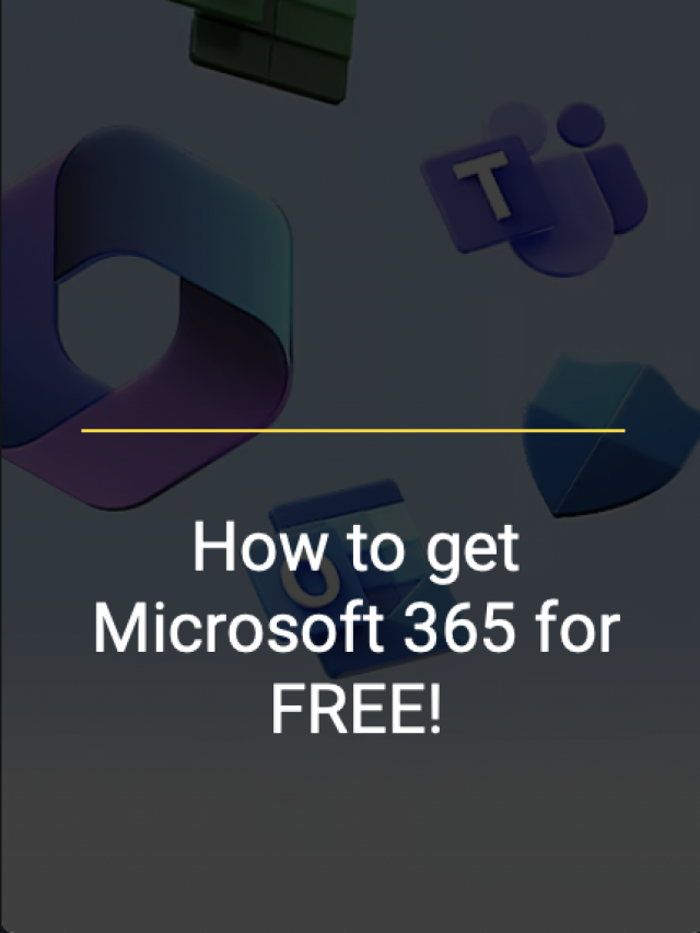 microsoft-365-korallilyanna